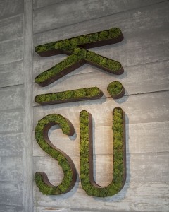 mossy